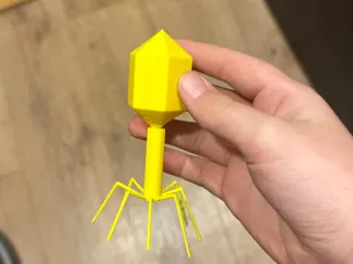 bacteriophage