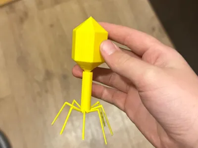bacteriophage