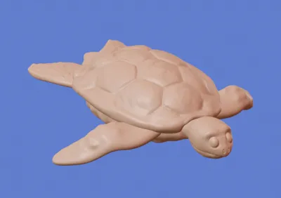 Cute great sea turtel