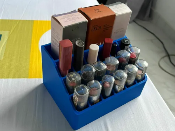 https://makerworld.bblmw.com/makerworld/model/DSM00000000957144/design/2025-01-06_ccdf3ab77b811.jpg