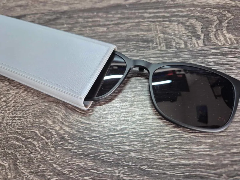 Case for clip-on glasses
