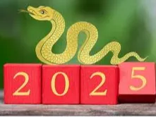 Year Of The Snake Pixel Art