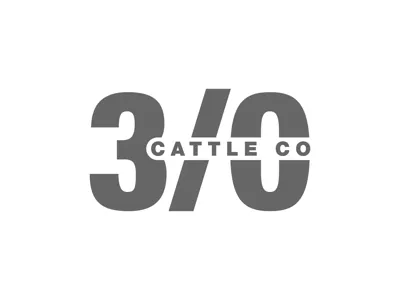 3/O Logo 2