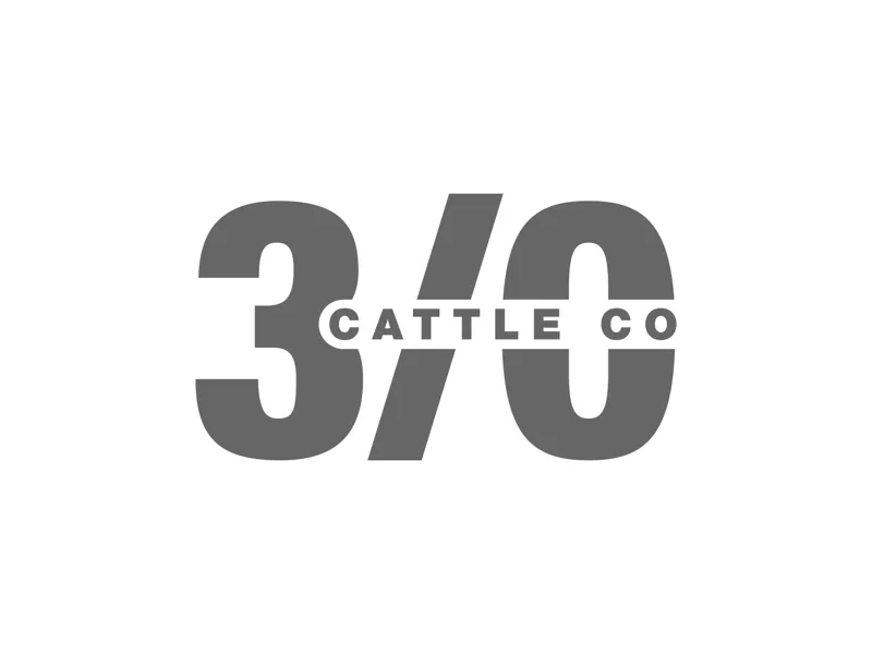 3/O Logo 3
