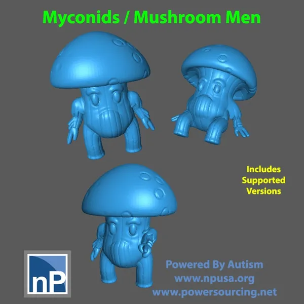 https://makerworld.bblmw.com/makerworld/model/DSM00000000963237/design/2025-01-07_mrpawvwsnteo.jpg