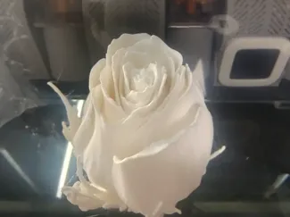 玫瑰花