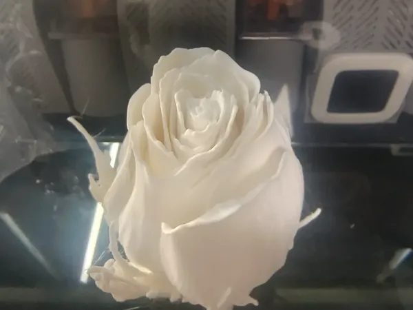 https://makerworld.bblmw.com/makerworld/model/DSM00000000963577/design/1cad9923-3c4c-4296-8c56-c64dd51c9099.webp