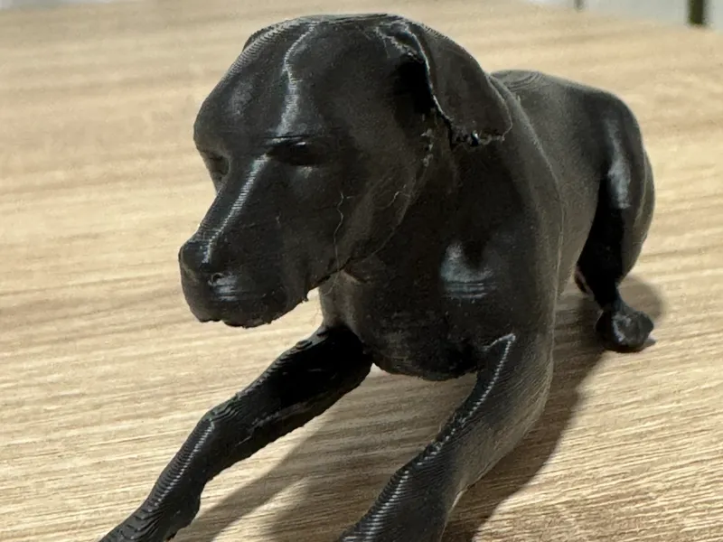 Perro