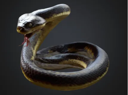 Snake model