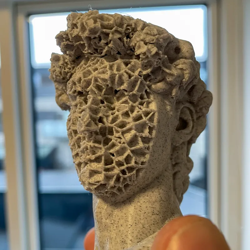 Fractured David bust (By Michelangelo)