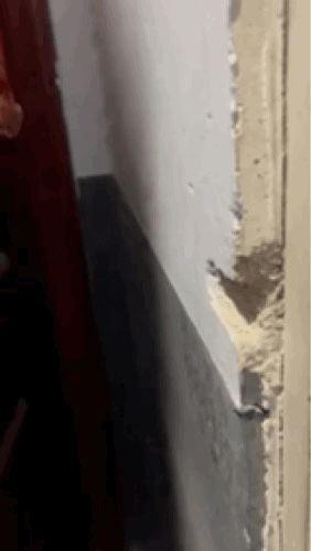 米家门锁防撞器