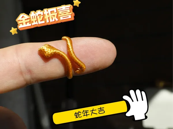 https://makerworld.bblmw.com/makerworld/model/DSM00000000969598/design/b0545de5-df18-4a89-b319-781dd7a654c4.webp