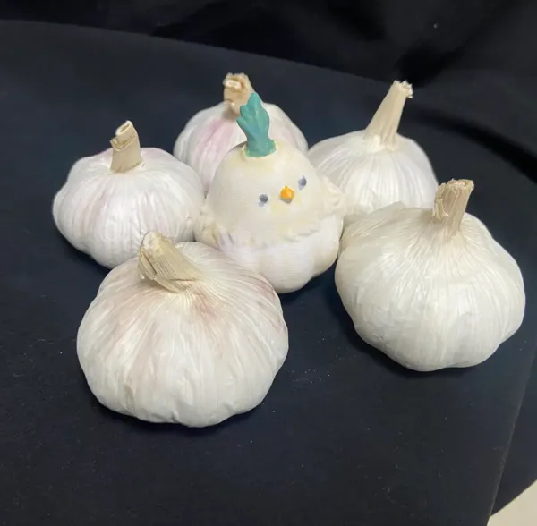 https://makerworld.bblmw.com/makerworld/model/DSM00000000970690/design/36228375-434f-4550-9cef-000d8326019a.webp