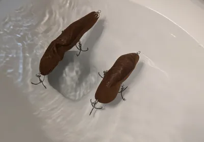 Floater Fish Lure