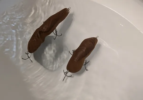 https://makerworld.bblmw.com/makerworld/model/DSM00000000972457/design/2025-01-10_6jt1pmsdhtu1.jpg