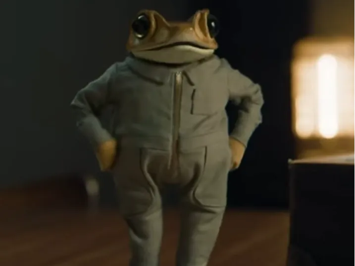 SAPO CONCHO
