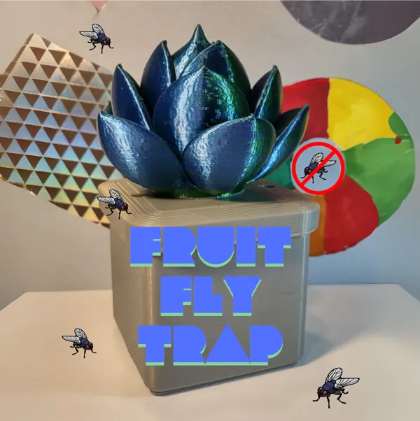 https://makerworld.bblmw.com/makerworld/model/DSM00000000973020/design/2025-01-09_96f0b62f11353.png