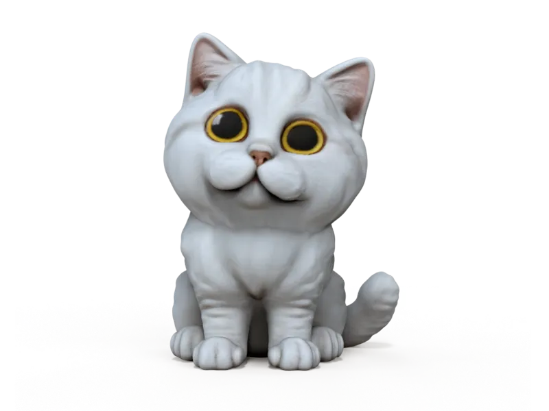 Adorable Kitten