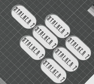 Stalker 2 keychain