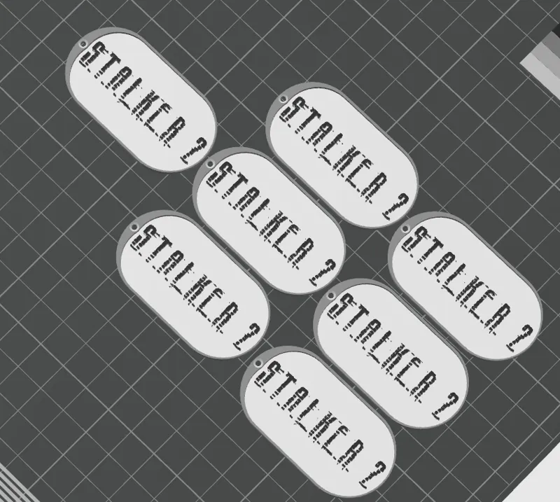 Stalker 2 keychain