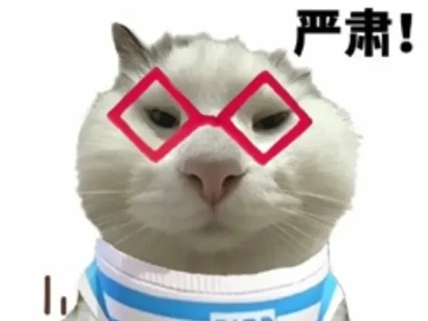 严肃猫meme 表情包