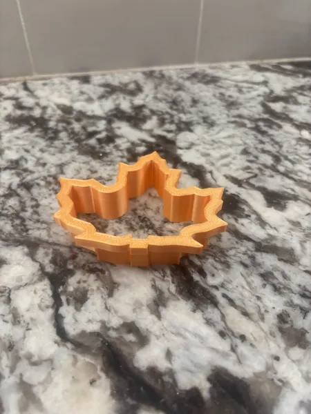 https://makerworld.bblmw.com/makerworld/model/DSM00000000980285/design/2025-01-12_f6p939i2fq7b.jpg