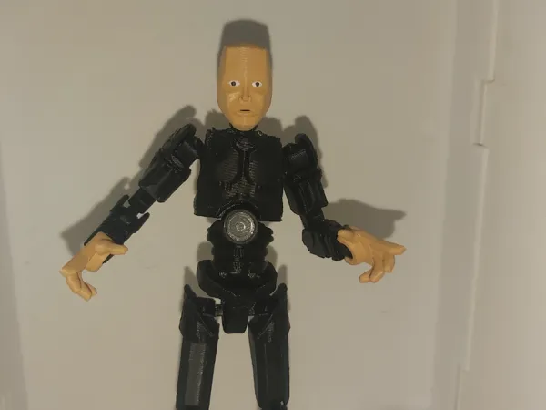 https://makerworld.bblmw.com/makerworld/model/DSM00000000980760/design/2025-01-11_8c43db6285b95.jpg