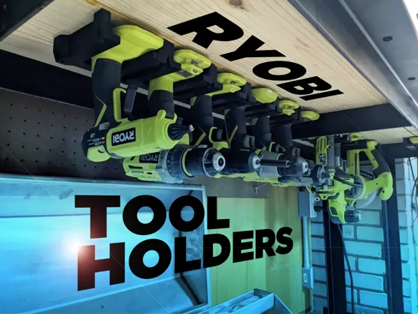 https://makerworld.bblmw.com/makerworld/model/DSM00000000981573/design/2025-01-11_1edf10a799813.png
