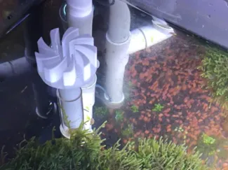鱼缸去油膜浮头