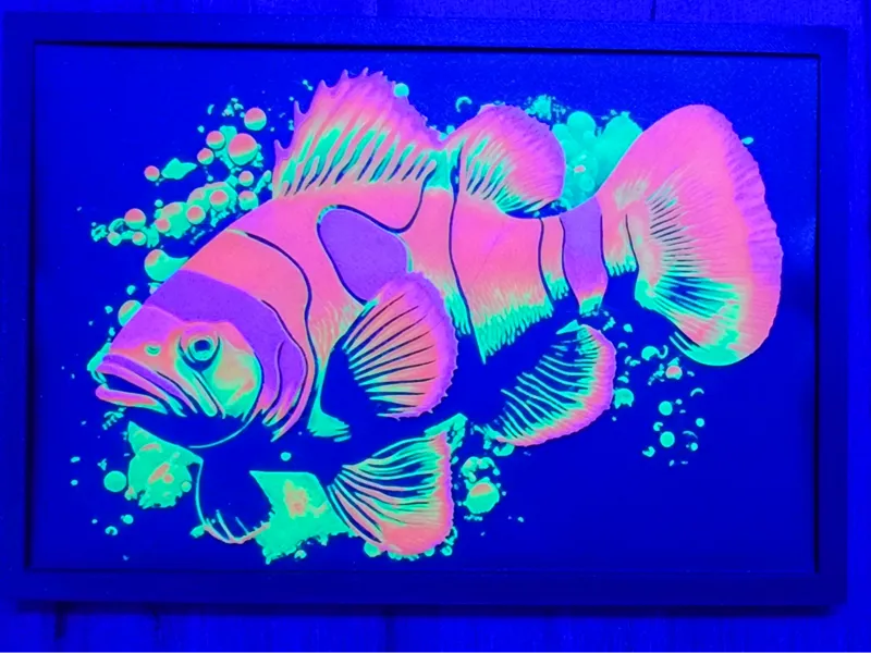 Neon Clownflish (Flourescent)
