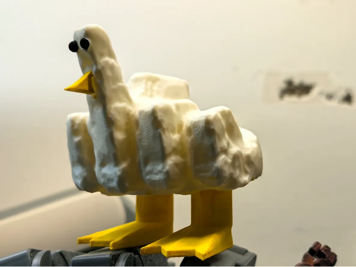 鄙视鸭