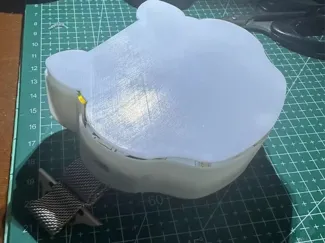 菜头棵外壳下半