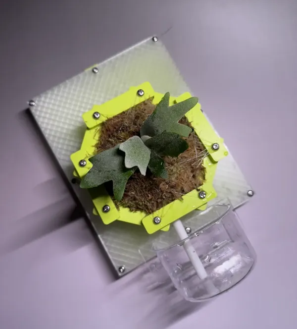 https://makerworld.bblmw.com/makerworld/model/DSM00000000989417/design/69c87e11-57d8-4f84-b171-5a0dffc1e248.webp