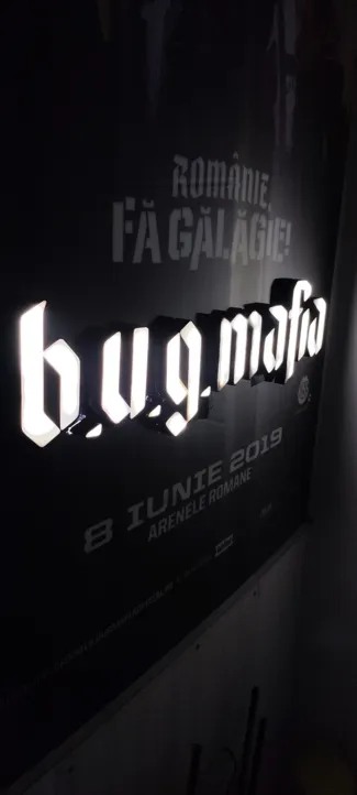 B.u.g. Mafia Led Light letters