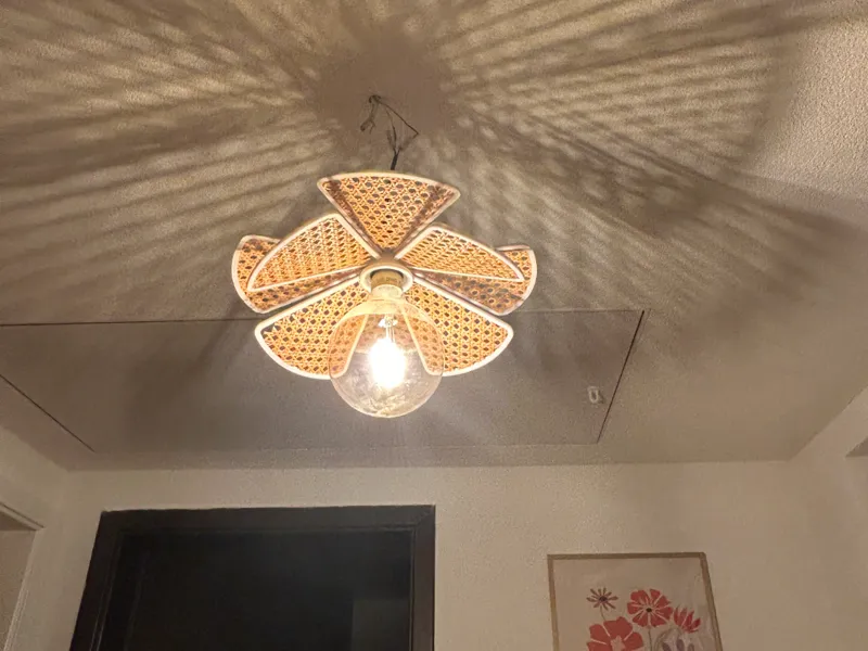 Flower lamp