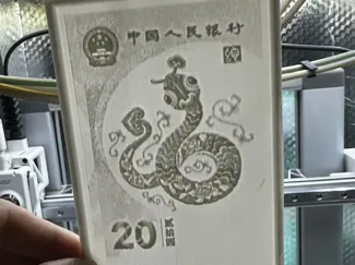 浮雕3D打印20蛇年纪念，可以做浮雕灯
