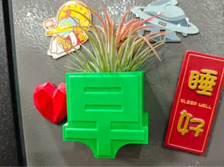 空气凤梨/多肉冰箱贴