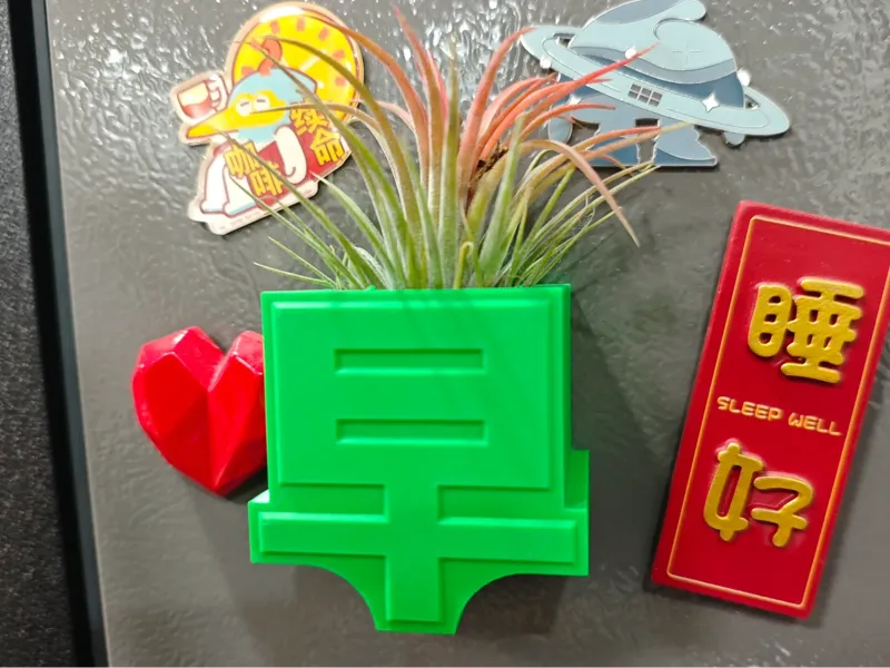 空气凤梨/多肉冰箱贴