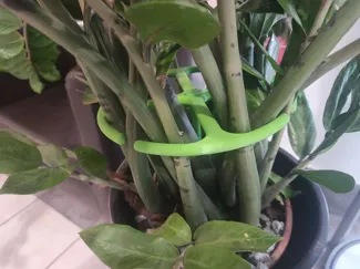 Heavy Duty Plant Support