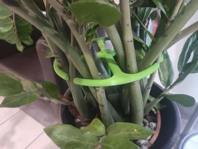 Heavy Duty Plant Support