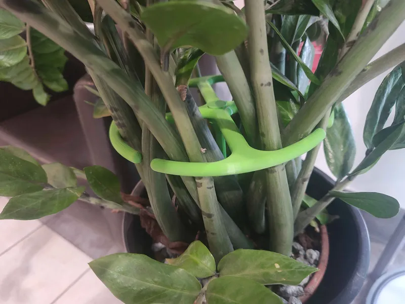 Heavy Duty Plant Support