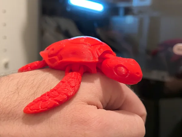 https://makerworld.bblmw.com/makerworld/model/DSM00000000996357/design/2025-01-15_bc04d49e6b75.jpg