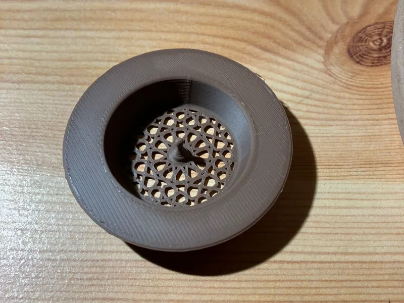 Drain hole filter