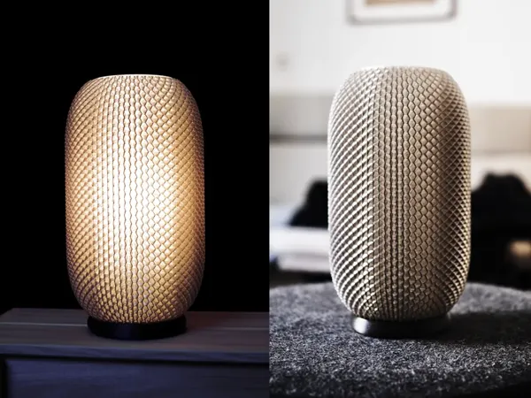 https://makerworld.bblmw.com/makerworld/model/DSM00000000998202/design/2025-01-15_4035aa92c6faf.webp