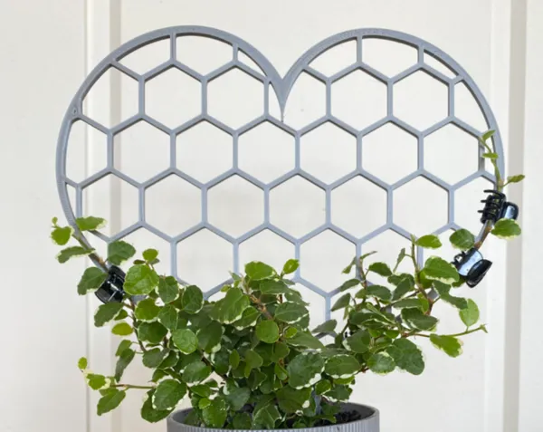 https://makerworld.bblmw.com/makerworld/model/DSM00000000998866/design/2025-01-16_5648cfb9fef9a8.jpg