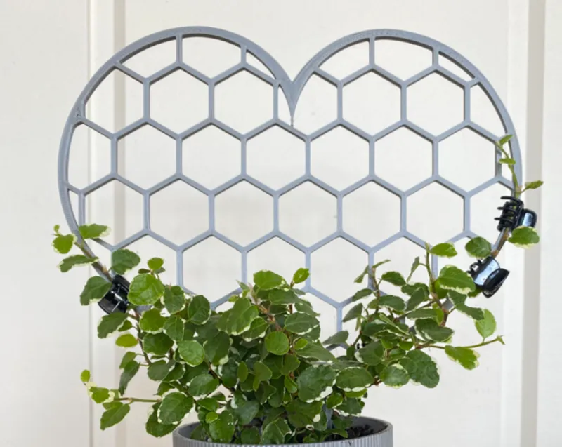 heart shaped trellis
