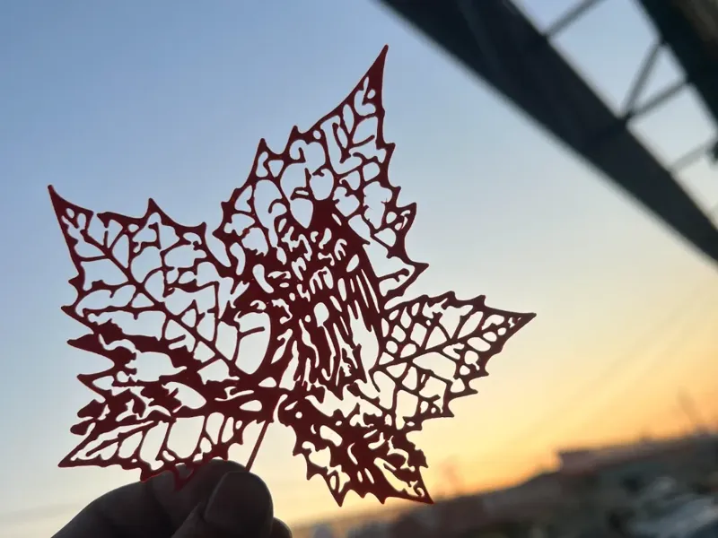 枫叶老鹰剪纸