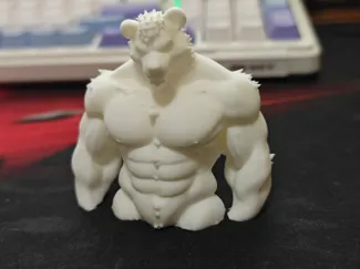 Muscle bear-肌肉熊