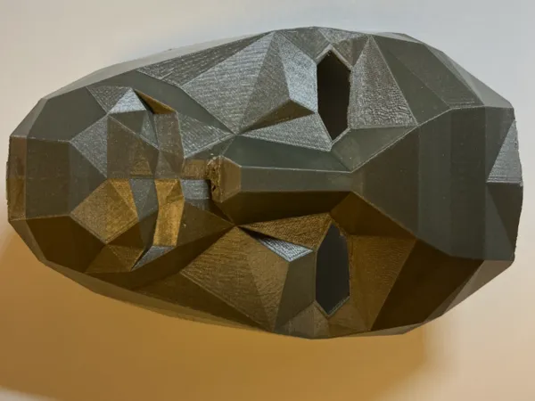 https://makerworld.bblmw.com/makerworld/model/DSM00000001000127/design/2025-01-16_d52e7142b0ecc.jpg