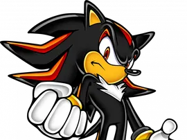 Shadow The Hedgehog